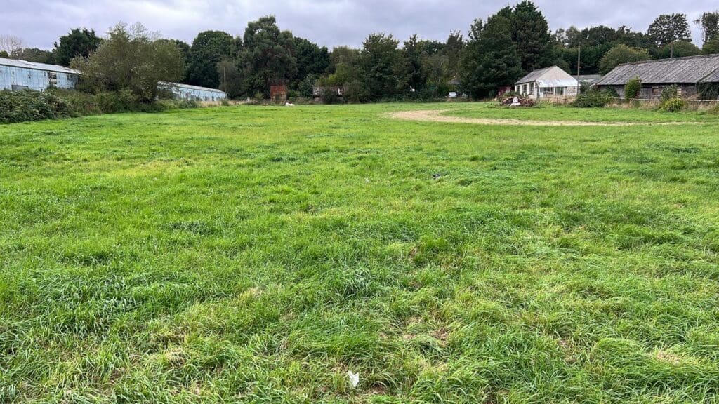 Green field with trees and buildings nearby.